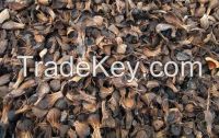 Dry Palm Kernel Shell Decompose !!! Top Supplier !!!