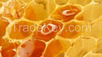 honey and other bee products