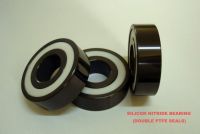Silicon nitride bearing
