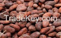 Cocoa Bean Oil Natural Herbal Oil Cocoa Oil