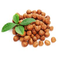 Hazelnut Oil Price Just Natural Oil Food and Cosmetic Grade