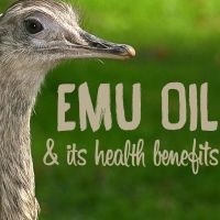 Emu Oil Bulk Wholesale Natural Oil Australian Emu Oil Refined Type B
