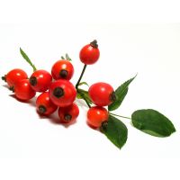 Rosehip Seed Oil