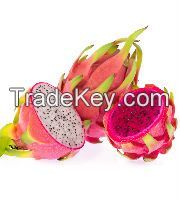 Dragon Fruit and other fruits from Thailand