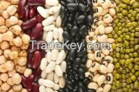 Green mung beans, Soya beans, Azuki beans, Red and Black Beans