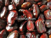 tamarine seed