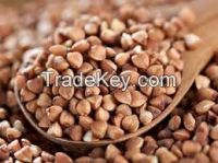 Buckwheat