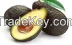 Agriculture Cashew Nut, Black Pepper , Avocados Banana, Coconut 