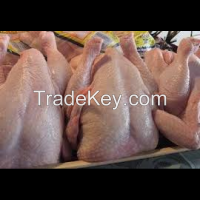 frozen ckicken poultry meat - chicken wing, lap, thigh, boneless chicken