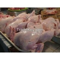 HALAL WHOLE FROZEN CHICKEN