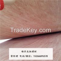 Supply 3.6mm red hardwood packing plywood