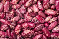 Red Speckled Kidney Beans for sell 