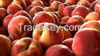 Fresh Peaches & nectarines