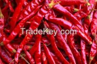 DRY RED CHILLI  FOR SALE