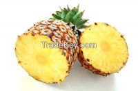  FRESH PINAPPLE ANANAS 