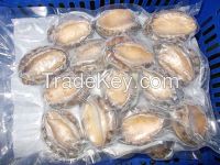 Frozen Abalone Shellfish 