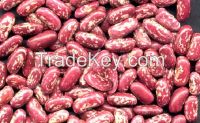 Red Speckled Sugar Beans/Purple Speckled Kidney Beans Size 220-240pcs 