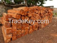 Teak square logs 