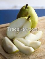 fresh pear fruit 