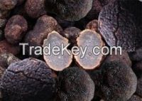 Wild fresh truffle 