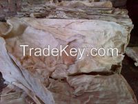 Dry Salted Donkey Hides for Sale Good Price