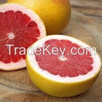 Fresh Grapefruit 