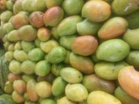 Ripe  and  Fresh Mangoes for sale