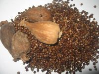 DRIED BLACK CARDAMOM AND GREEN CARDAMOM BEST PRICE