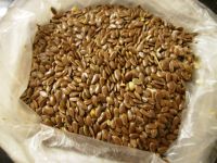 Flax Seeds for  sale