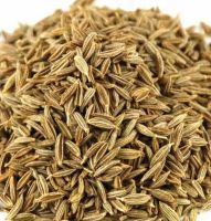 cumin seeds for  sale