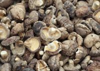 Dried Shiitake Mushrooms for  sale