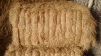 Coconut Coir Fiber