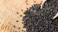 Natural Black Sesame Seed