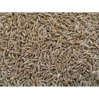 Dried Cumin Seed