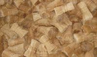 bristle fibre - Whole Sale -for Brush and Broom Manufacturer