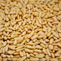 Pine Nuts