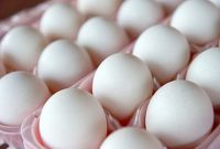 Fresh Chicken/ White Shell Egg Available at Cheap Price