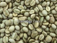 Unroasted Coffee Beans