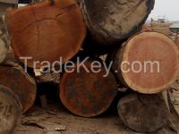 timber , hardwood logs