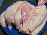 Halal Frozen Whole Chicken 'A' Grade.