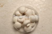 Canned White Button Mushrooms
