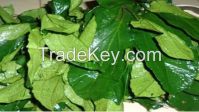 https://fr.tradekey.com/product_view/Fresh-Ugu-Vegetables-8239729.html