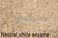 sesame seeds