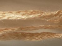 natuarl fibre fancy yarn