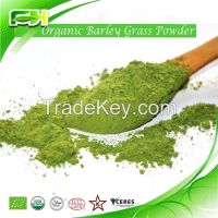 Organic Barley Grass Powder/Organic Barley Grass Juice Powder