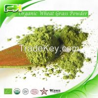 Organic Wheat Grass Powder/Organic Wheat Grass Juice Powder