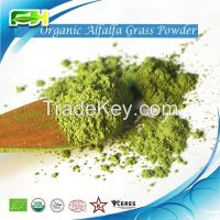 Organic Alfalfa Grass Powder/Organic Alfalfa Grass Juice Powder