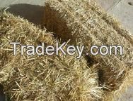 Sraw / pellet Staw /chopped straw