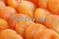 Best Quality Dried Apricot Good Price