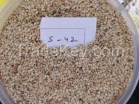 African Sesame Seed for Oil Extraction